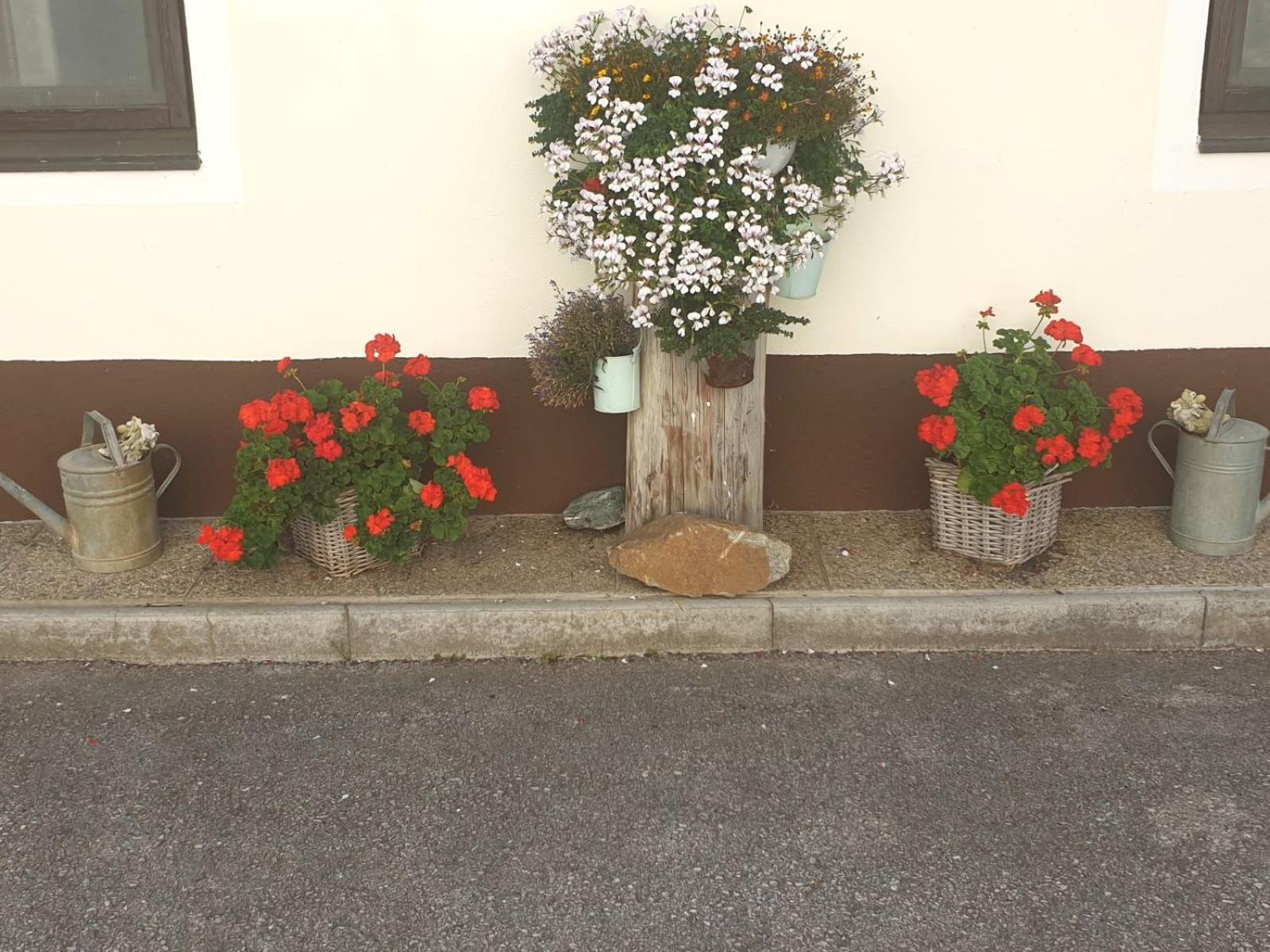 Familie Stoier Villa Reichenau Buitenkant foto