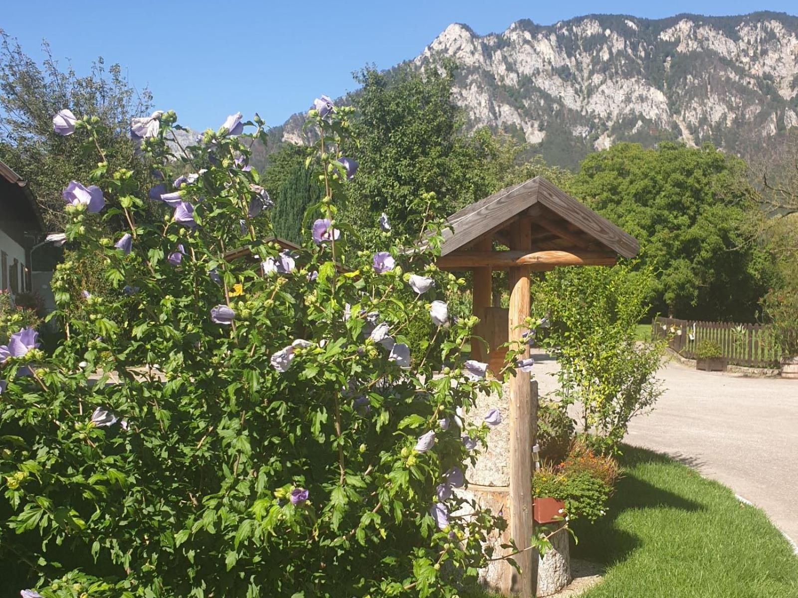 Familie Stoier Villa Reichenau Buitenkant foto